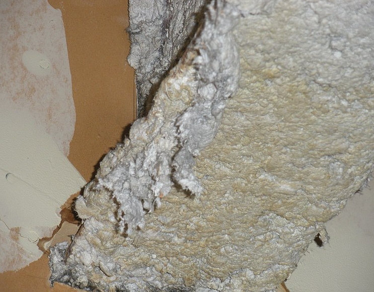 mesothelioma asbestos